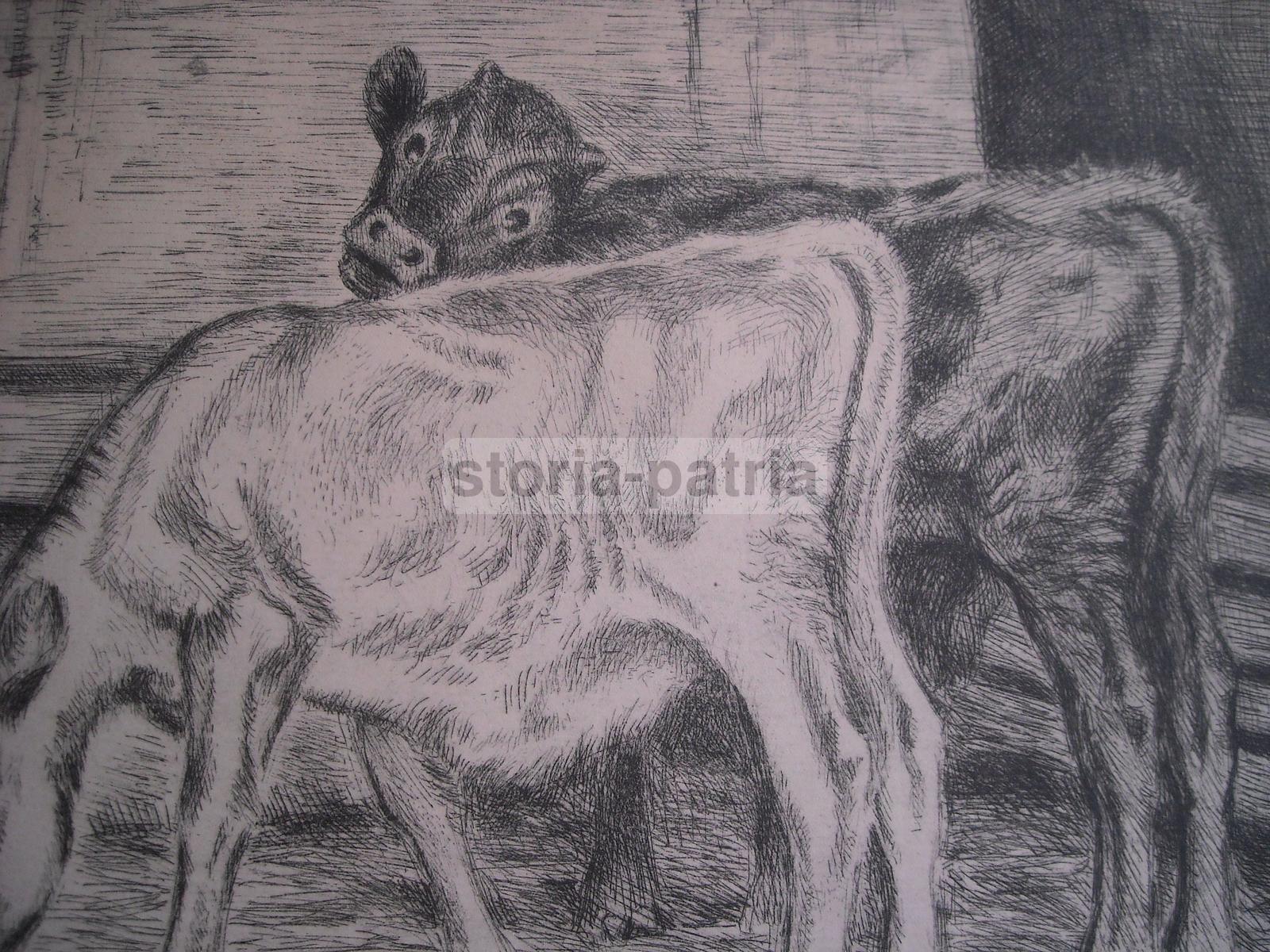 Arte, Antica Suggestiva Incisione, Stalla Con Bovini, Artista Roose, Decorativa, Rara immagine 2