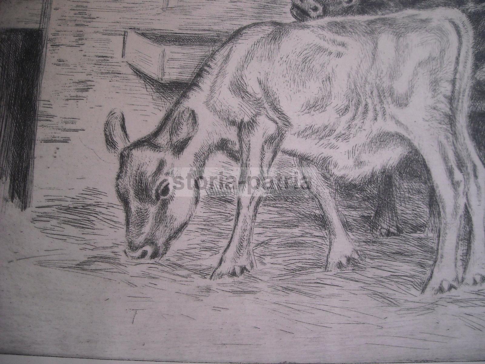 Arte, Antica Suggestiva Incisione, Stalla Con Bovini, Artista Roose, Decorativa, Rara immagine 3