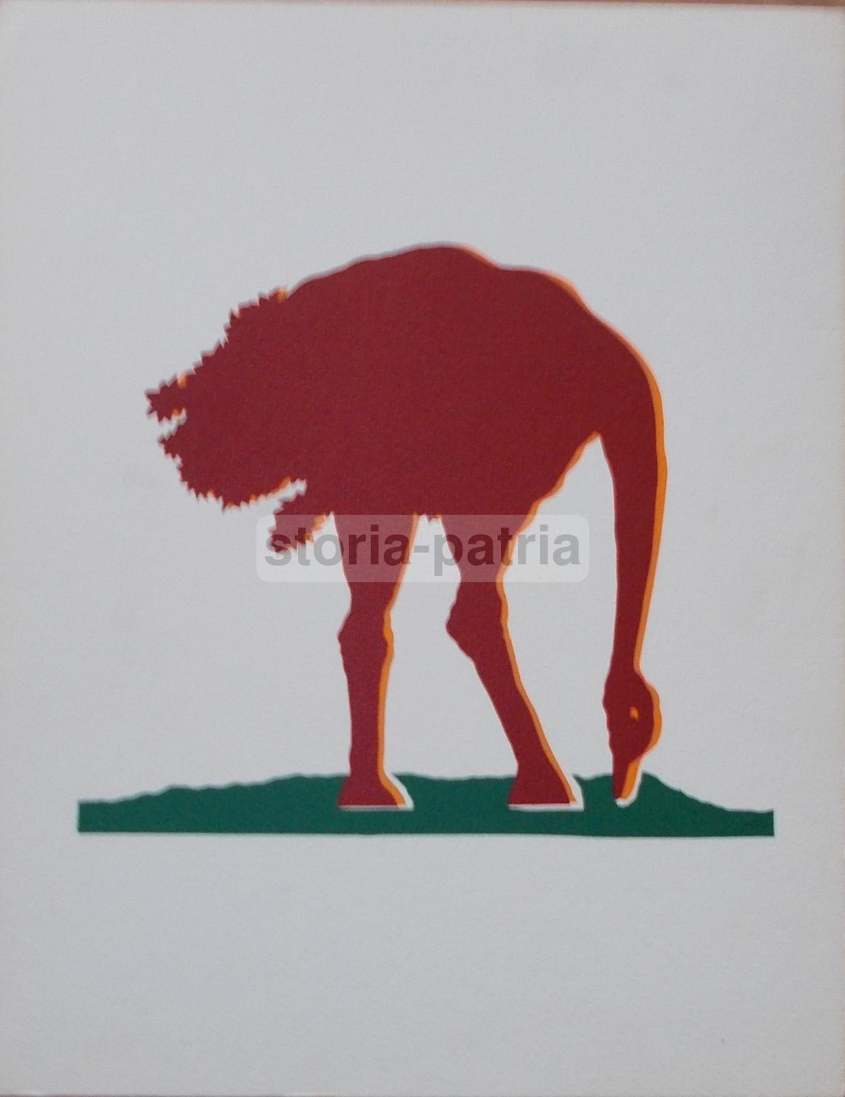 Arte Moderna, Grafica Da Collezione, Gino Marotta, Struzzo, Stampa A Colori, d'Epoca immagine 1